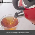 کتری برقی کاراجا رترو Retro قرمز