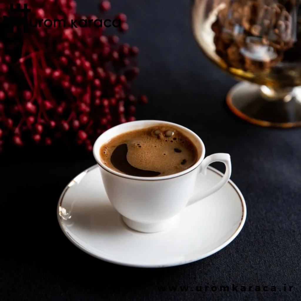 سرویس قهوه خوری 12 پارچه کاراجا Elicia