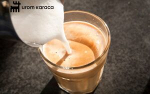 چگونه با دستگاه اسپرسو ساز شیر قهوه درست کنیم