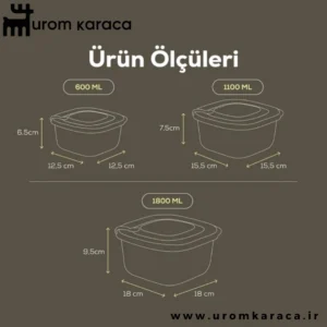 ظرف نگهدارنده 6 عددی Vienev وینف بژ