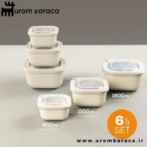 ظرف نگهدارنده 6 عددی Vienev وینف بژ