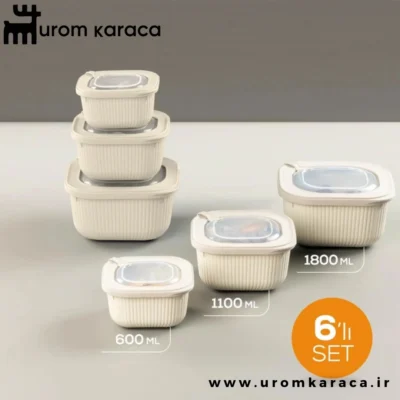 ظرف نگهدارنده 6 عددی Vienev وینف بژ