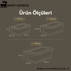ظرف نگهدارنده 6 عددی Vienev وینف سبز