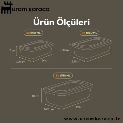 ظرف نگهدارنده 6 عددی Vienev وینف سبز