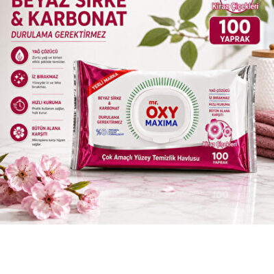 دستمال مرطوب چندمنظوره مستر اوکسی MR.OXY بسته ۱۰۰ عددی